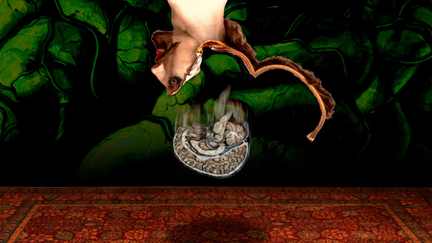 「コーポレート・ブルシット（もっともらしいが中身のないビジネス英語）」を愛する人は判断力が鈍い » p2ptk[.]org